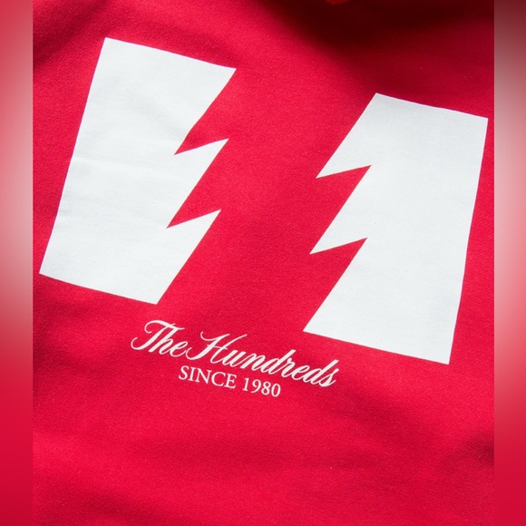 The hundreds hoodie - Picture 3 of 4